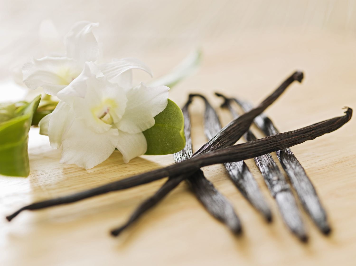 COAXING MAXIMUM FLAVOR FROM VANILLA; TIPS AND TRICKS FOR NEXT LEVEL VANILLA